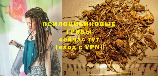 spice Алексеевка