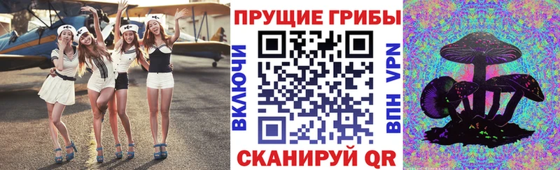 купить  сайты  Звенигород  Псилоцибиновые грибы мухоморы 