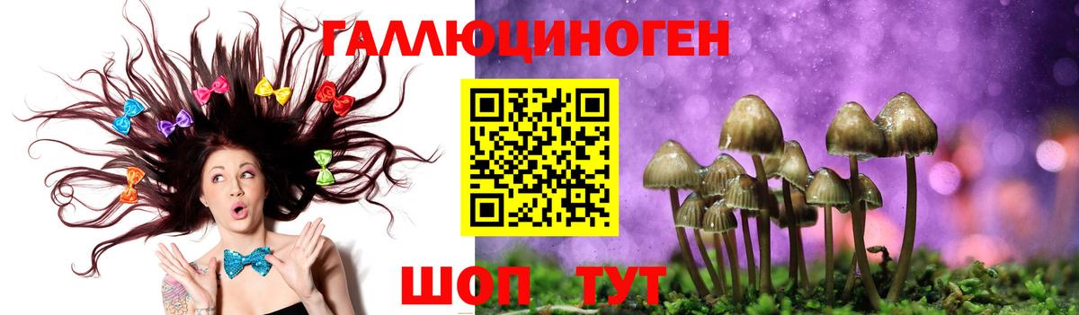 магазин продажи наркотиков  Вход с VPN  Звенигород  Галлюциногенные грибы Psilocybine cubensis 