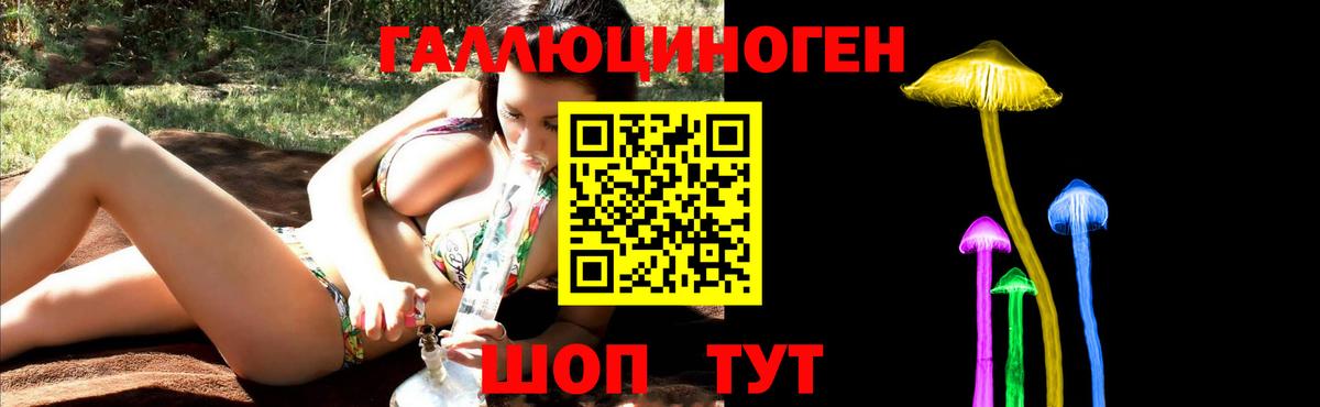 Псилоцибиновые грибы GOLDEN TEACHER Звенигород